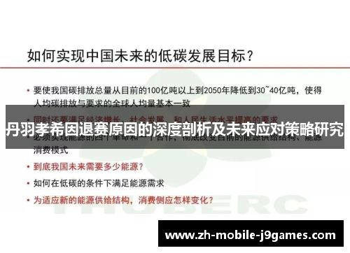 丹羽孝希因退赛原因的深度剖析及未来应对策略研究 丹羽孝希因退赛原因的深度剖析及未来应对策略研究