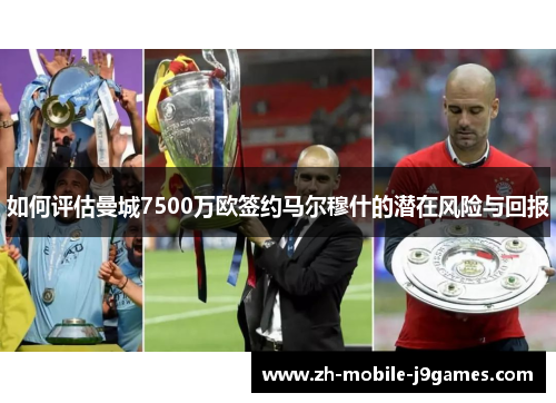 如何评估曼城7500万欧签约马尔穆什的潜在风险与回报